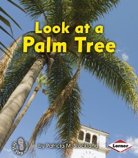 Cover Look at a Palm Tree