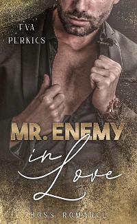 Cover Mr. Enemy in Love