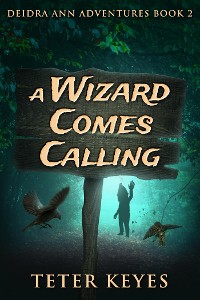 Cover A Wizard Comes Calling