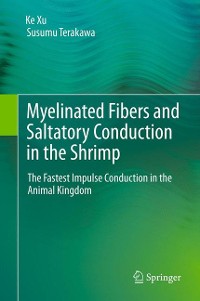 Cover Myelinated Fibers and Saltatory Conduction in the Shrimp