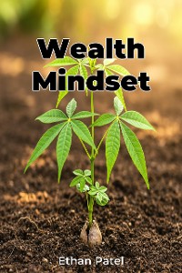 Cover Wealth Mindset