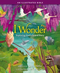 Cover I Wonder: Exploring God's Grand Story