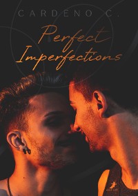 Cover Perfect Imperfections