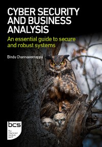 Cover Cyber Security and Business Analysis