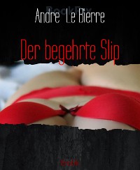 Cover Der begehrte Slip