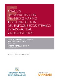 Cover Análisis de la protección del medio marino tras una década del enfoque ecosistémico: estado actual y nuevos retos