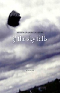 Cover If the Sky Falls