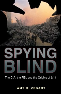 Cover Spying Blind