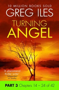 Cover TURNING ANGEL PART 3 CHAPTE EB