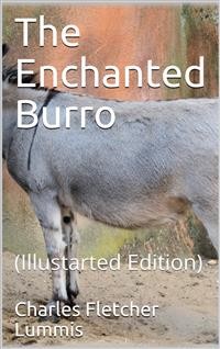 Cover The Enchanted Burro / And Other Stories as I Have Known Them from Maine to Chile and California