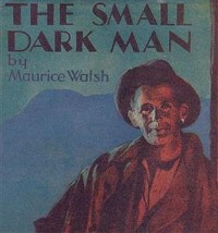 Cover The Small Dark Man