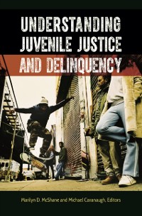Cover Understanding Juvenile Justice and Delinquency