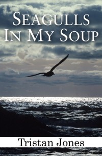 Cover Seagulls in My Soup