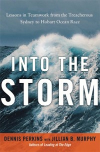 Cover Into the Storm