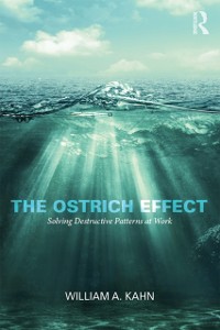 Cover The Ostrich Effect