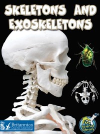 Cover Skeletons and Exoskeletons