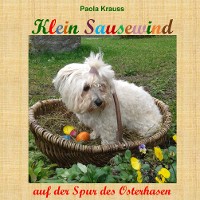 Cover Klein Sausewind