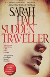 Cover Sudden Traveller