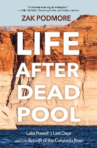 Cover Life After Dead Pool