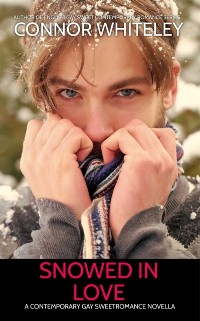 Cover Snowed In Love: A Contemporary Gay Sweet Romance Novella