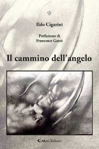 Cover Il cammino dell’angelo