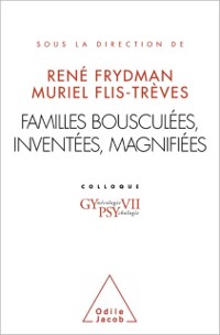 Cover Familles bousculees, inventees, magnifiees