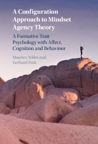 Cover Configuration Approach to Mindset Agency Theory