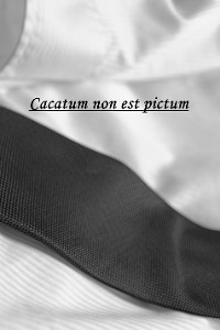 Cover Cacatum non est pictum