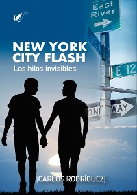 Cover New York City Flash