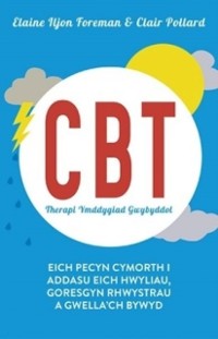 Cover Cbt Therapi Ymddygiad Gwybyddol
