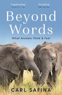 Cover Beyond Words