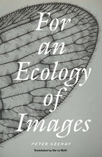 Cover For an Ecology of Images