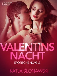 Cover Valentinsnacht: Erotische Novelle