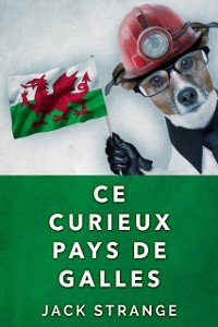 Cover Ce Curieux Pays De Galles