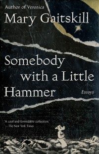 Cover Somebody with a Little Hammer