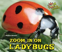 Cover Zoom in on Ladybugs