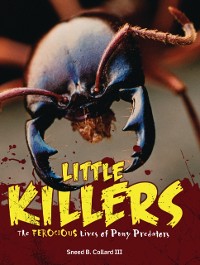 Cover Little Killers