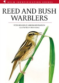 Cover Reed and Bush Warblers