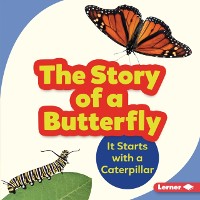 Cover Story of a Butterfly