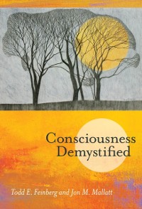 Cover Consciousness Demystified