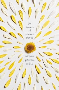 Cover Summer of Broken Things