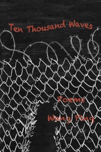 Cover Ten Thousand Waves : Poems