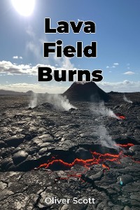 Cover Lava Field Burns