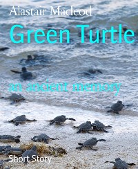 Cover Green Turtle