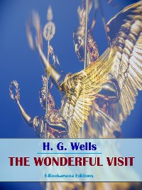 Cover The Wonderful Visit