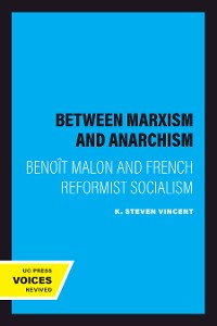 Cover Between Marxism and Anarchism