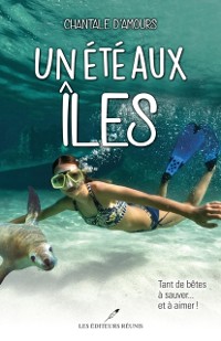 Cover Un ete aux iles
