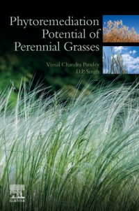 Cover Phytoremediation Potential of Perennial Grasses