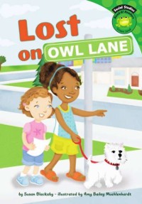 Cover Lost on Owl Lane