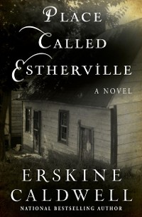 Cover Place Called Estherville